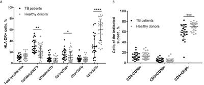 HLA-DR-Positive NK Cells Expand in Response to Mycobacterium Tuberculosis Antigens and Mediate Mycobacteria-Induced T Cell Activation
